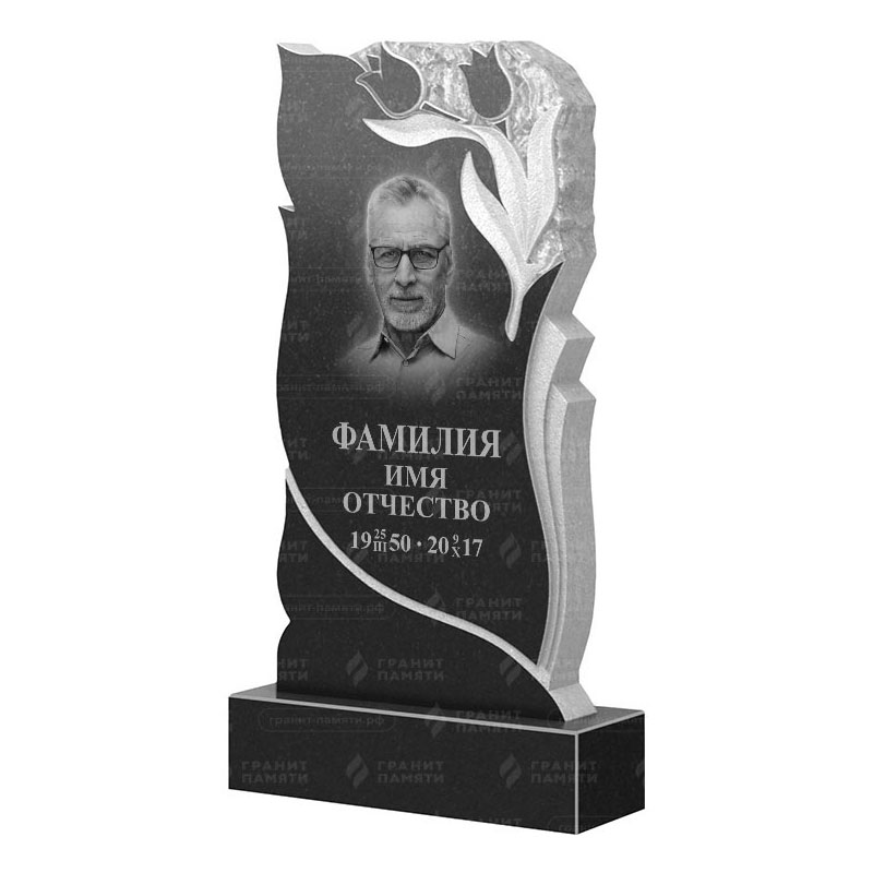 Гранитные памятники в&nbsp;Саратове | Гранитный памятник ФГ-223