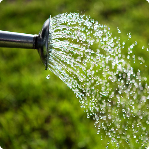 Аксессуары для благоустройства захоронений | Полив цветов и деревьев